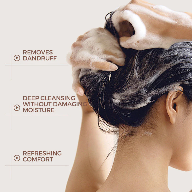 2025 Hot Sale 49% OFFGinger Anti-Dandruff Cleansing Shampoo