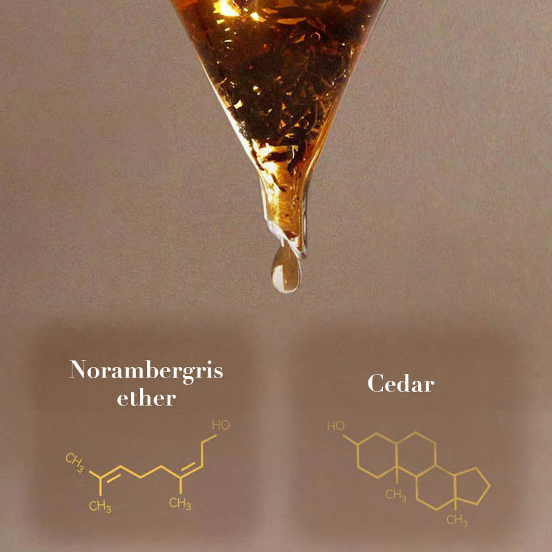 New ArrivalNight Rhapsody - Captivating and Long-Lasting Men's Perfume