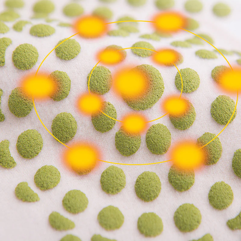 Women's Winter High-Stretch Waist Protector Women's Winter High-Stretch Waist Protector